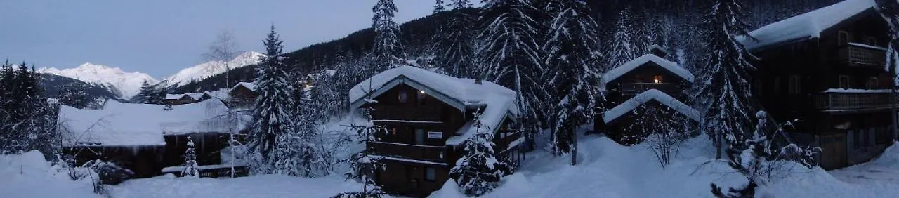 Chalet Woody Wood Villa La Tania