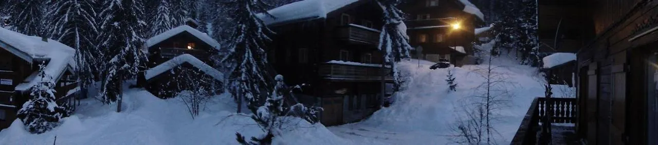 Chalet Woody Wood Villa La Tania